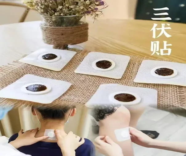 【冬病夏治】中医三伏贴开始预约啦！全家一起&ldquo;贴"出好体质